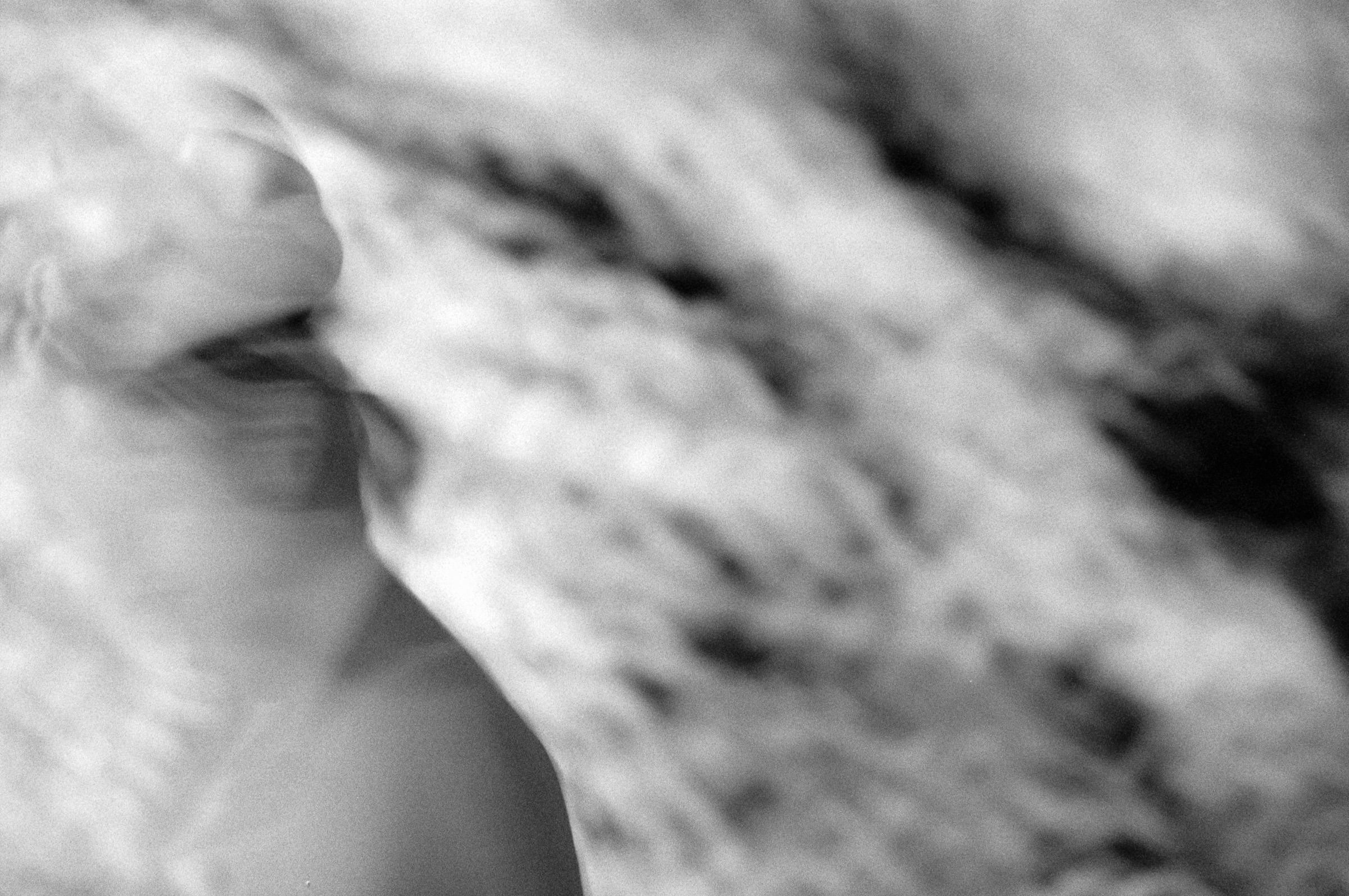 AHP F1994 11 007 sc250521 img21 NLP